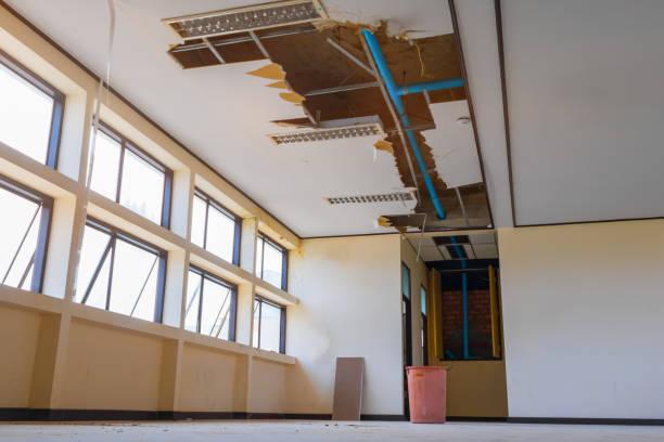 Best Carpet water damage restoration  in Montpelier, OH