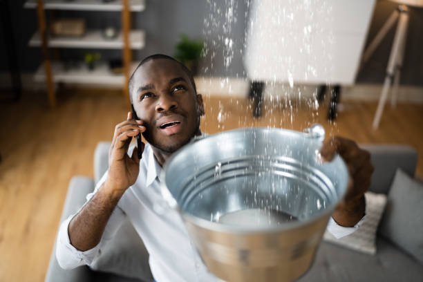 Best Water damage restoration near me  in Montpelier, OH