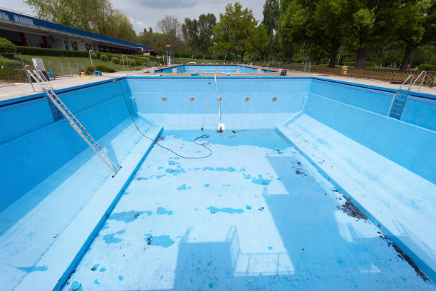 Best Flood damage cleanup  in Montpelier, OH