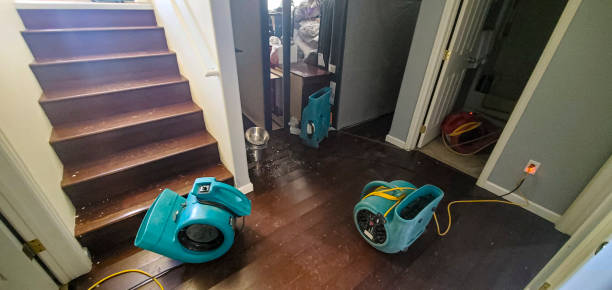 Best 24-hour water damage restoration  in Montpelier, OH