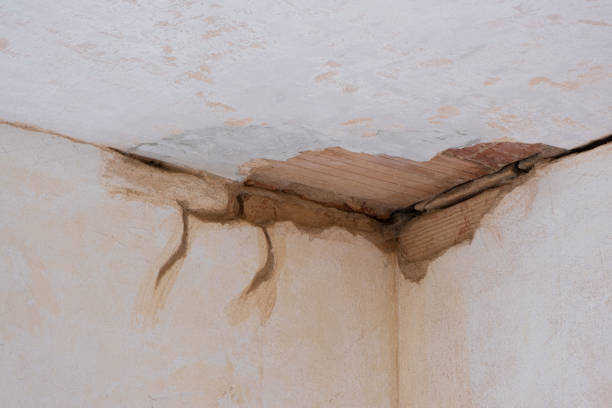 Best Commercial water damage restoration  in Montpelier, OH