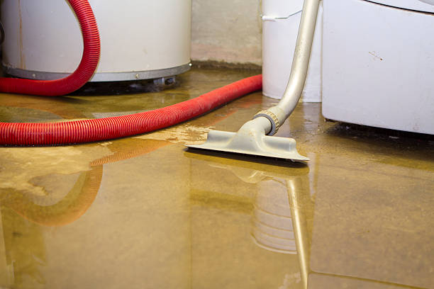 Best Emergency water damage restoration  in Montpelier, OH