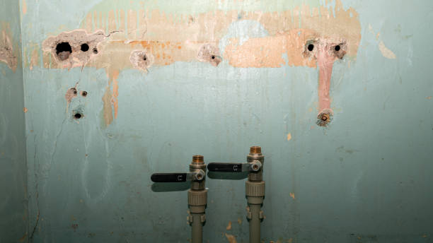 Best Ceiling water damage repair  in Montpelier, OH