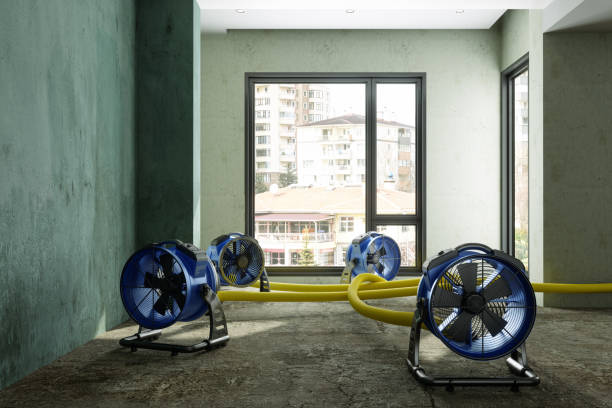  Montpelier, OH Water damage restoration Pros