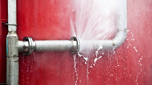 Best Water damage restoration services  in Montpelier, OH